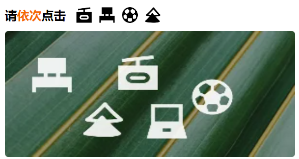 image-20230911142644981
