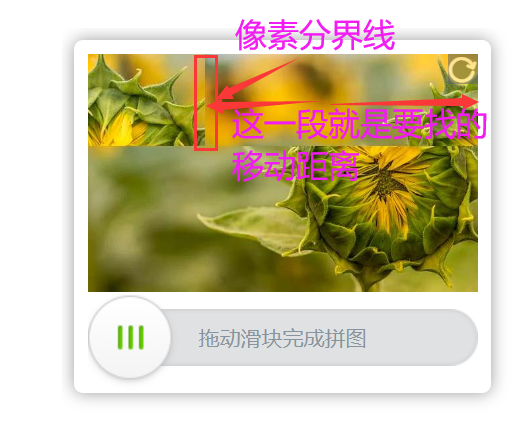 image-20230912103259412