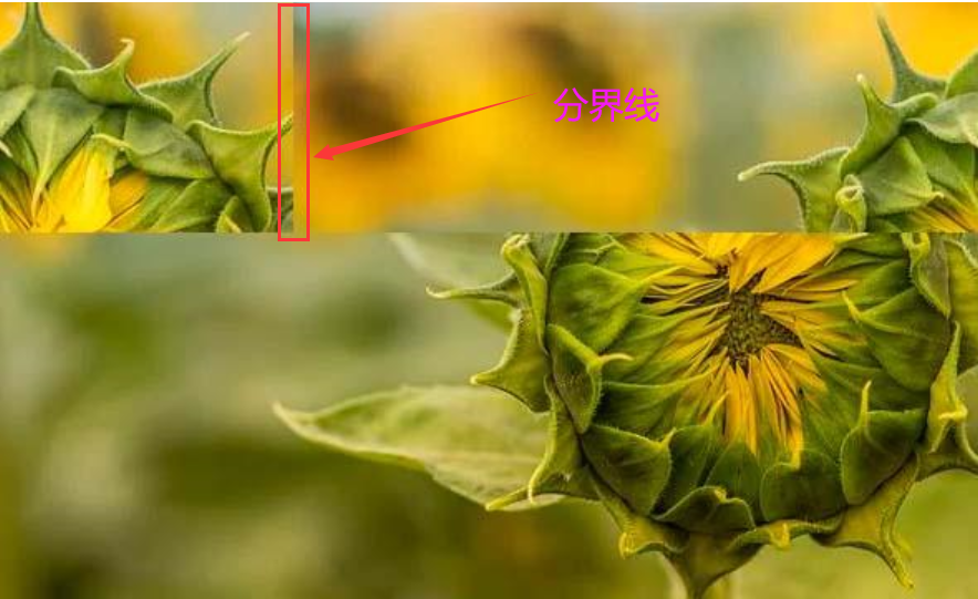 image-20230912112022040